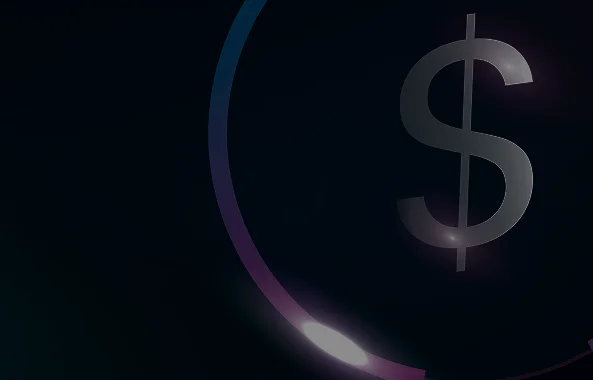 USDC (USD Coin)
